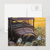 背の高い草の中に放置された古い車 ポストカード (正面/裏面)