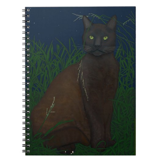 背の高い草の中のオティス ノートブック (正面)