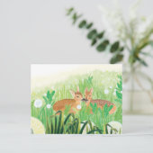 背の高い草の中の子羊イラストレーション シーズンポストカード (スタンド正面)