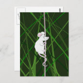 背の高い草の中の灰色の野ネズミ ポストカード (正面/裏面)