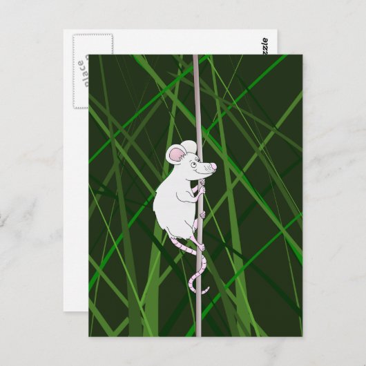 背の高い草の中の灰色の野ネズミ ポストカード (正面/裏面)
