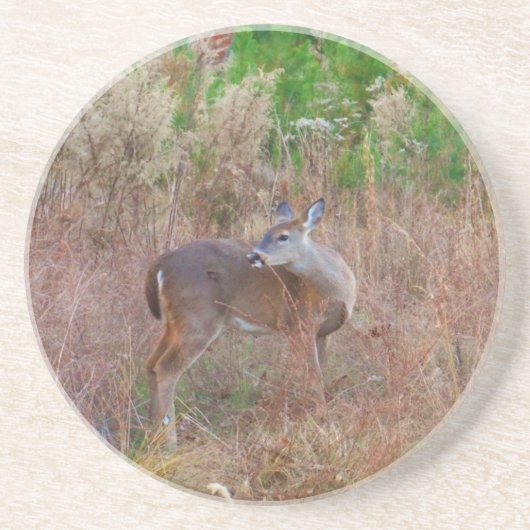 背の高い草の中の鹿 コースター (正面)