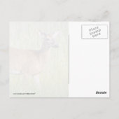 背の高い草の中の鹿 ポストカード (裏面)