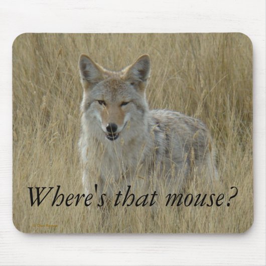 背の高い草の中のR2コヨーテ マウスパッド (正面)