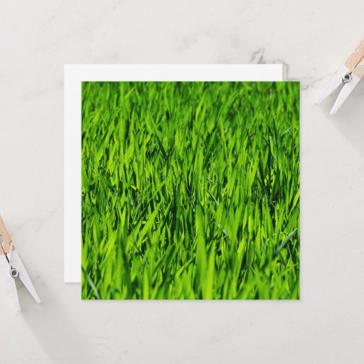 背の高い草の葉 カード (正面/裏面インサイチュ)