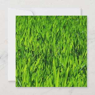 背の高い草の葉 カード