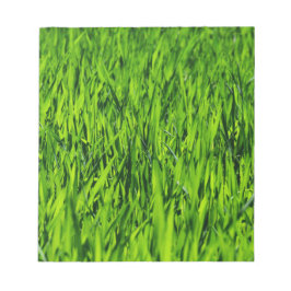 背の高い草の葉 ノートパッド