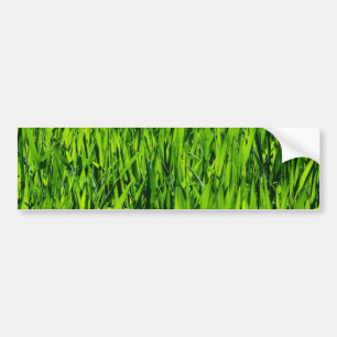 背の高い草の葉 バンパーステッカー