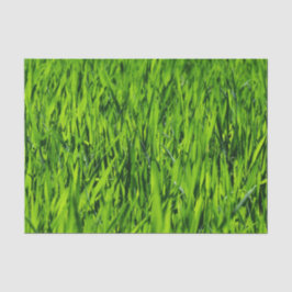 背の高い草の葉 薄葉紙