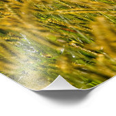 背の高い草の間の日光 フォトプリント            (角)