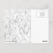 背の高い草の間の日光 ポストカード (裏面)