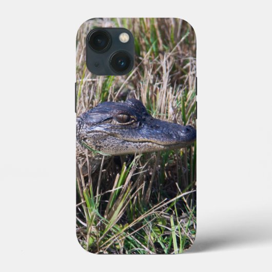 背の高い草むらにいるかわいいベビーアリゲーターの野生動物写真 Case-Mate iPhoneケース (裏面)