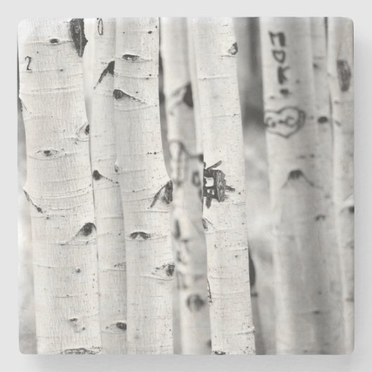 背の高い《植物》アスペン ストーンコースター (正面)