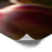 背カラフル光多肉性の花芽（縁） ポスター (角)