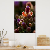 背カラフル光多肉性の花芽（縁） ポスター (キッチン)