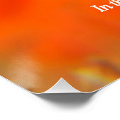 背カラフル状核分岐 ポスター (コーナー)