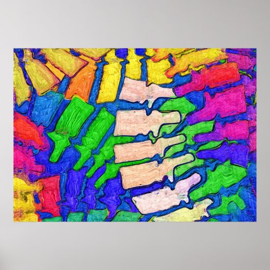 背カラフル骨アートポスター（水平） ポスター (正面)
