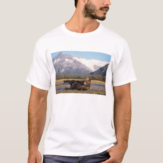 背中で伸びをするヒグマ Tシャツ (正面)
