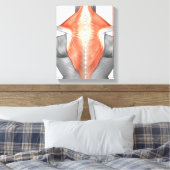 背中と首の筋肉 キャンバスプリント (インサイチュ (寝室))