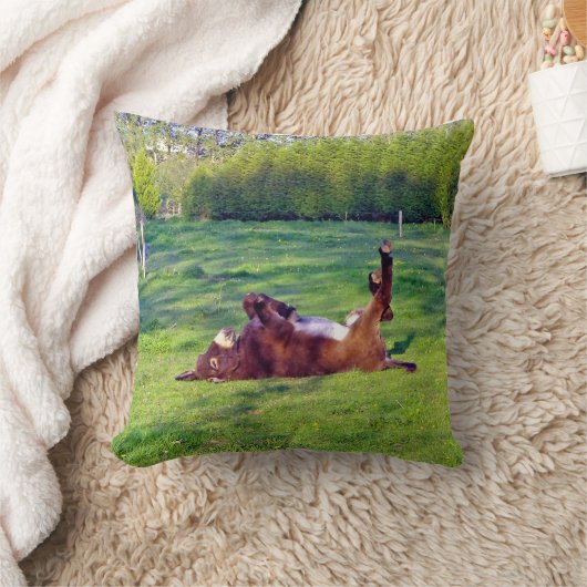 背中にロバ クッション (ブランケット)