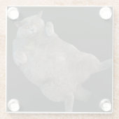 背中に敷設されるブリティッシュ・ショートヘアの太い猫 ガラスコースター (裏面)