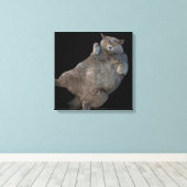 背中に敷設されるブリティッシュ・ショートヘアの太い猫 キャンバスプリント (インサイチュ (ウッドフロア))