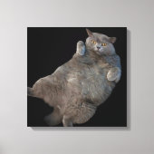 背中に敷設されるブリティッシュ・ショートヘアの太い猫 キャンバスプリント (正面)