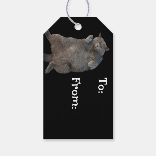 背中に敷設されるブリティッシュ・ショートヘアの太い猫 ギフトタグ (正面)