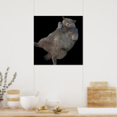 背中に敷設されるブリティッシュ・ショートヘアの太い猫 ポスター (キッチン)