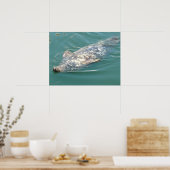 背中に浮間抜けかぶケープコッドシール ポスター (キッチン)