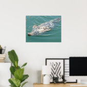 背中に浮間抜けかぶケープコッドシール ポスター (ホームオフィス)