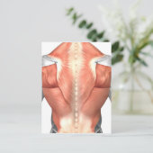 背中の男性の筋肉解剖学1 ポストカード (スタンド正面)