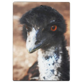 背中の鋭い目 クリップボード (裏面)