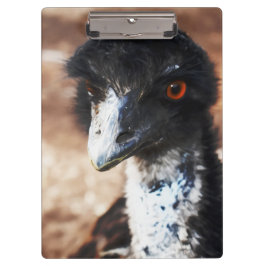 背中の鋭い目 クリップボード