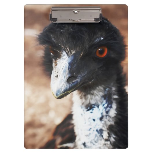 背中の鋭い目 クリップボード (正面)
