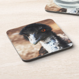 背中の鋭い目 コースター