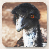 背中の鋭い目 コースター (正面)