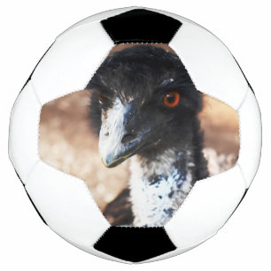 背中の鋭い目 サッカーボール