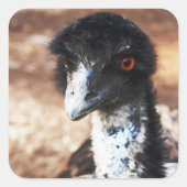 背中の鋭い目 スクエアシール (正面)