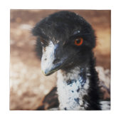 背中の鋭い目 タイル (正面)