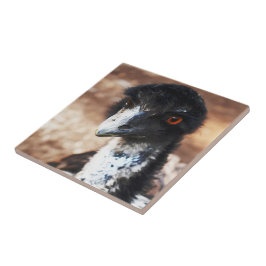 背中の鋭い目 タイル