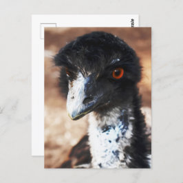 背中の鋭い目 ポストカード