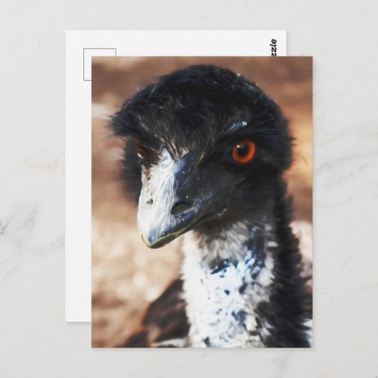 背中の鋭い目 ポストカード (正面/裏面)