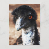 背中の鋭い目 ポストカード (正面)