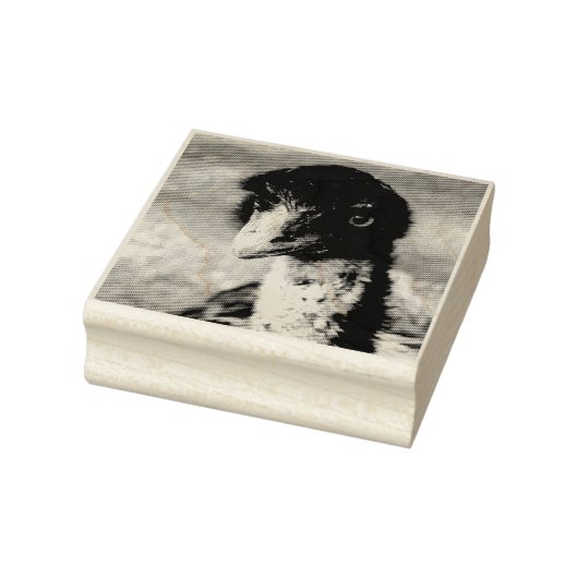 背中の鋭い目 ラバースタンプ (スタンプ)