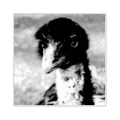 背中の鋭い目 ラバースタンプ (インプリント)