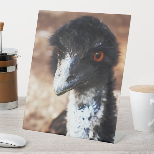 背中の鋭い目 台座サイン (インサイチュ)