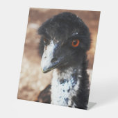 背中の鋭い目 台座サイン (正面)