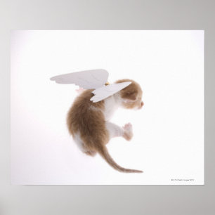 背中や背中に天使の翼を取り付けた子猫 ポスター