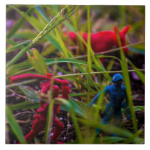 背中を大きく(6" x 6")セラミックフォトタイルで見る